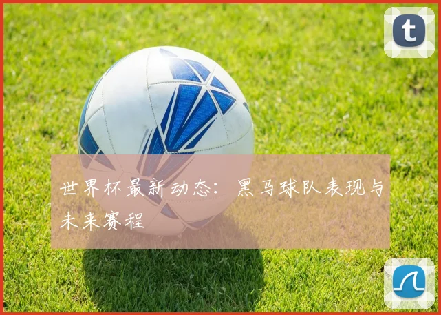 世界杯最新动态：黑马球队表现与未来赛程
