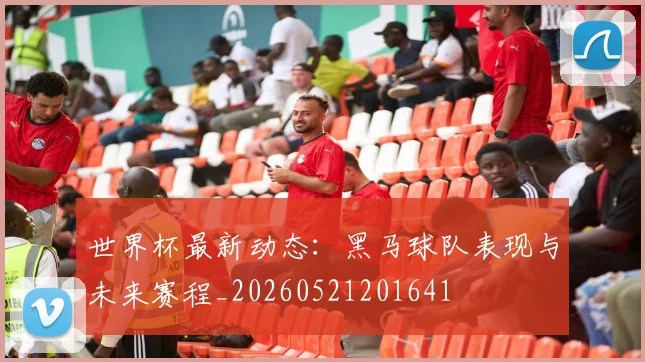 世界杯最新动态：黑马球队表现与未来赛程_20260521201641