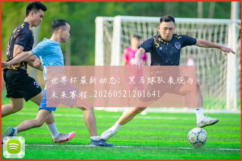世界杯最新动态：黑马球队表现与未来赛程_20260521201641