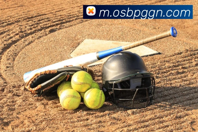 赛事专题整合